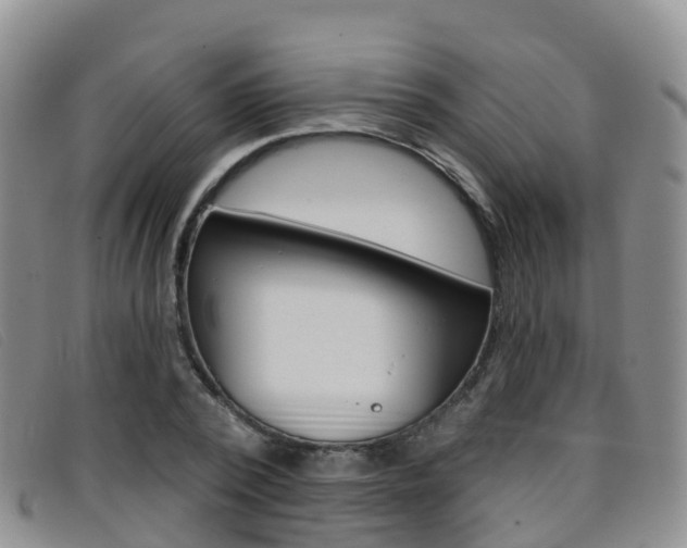 X0000096720784200802051059