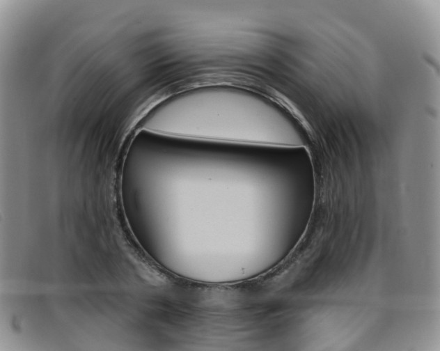 X0000096720786200802051059