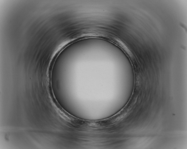 X0000096720787200802051059