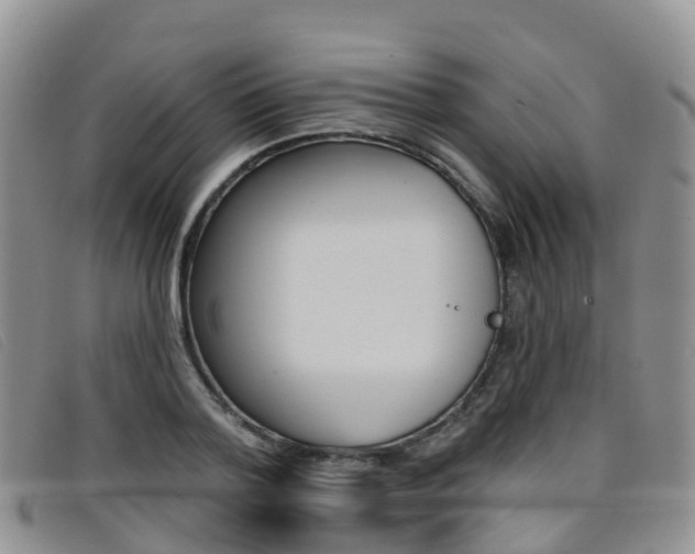 X0000096720788200802051059