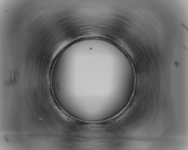 X0000096720789200802051059