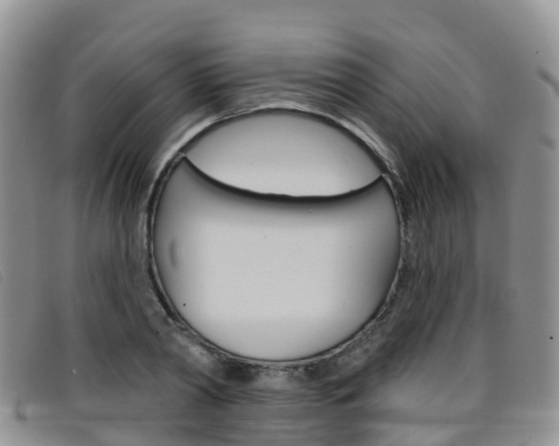 X0000096720790200802051059