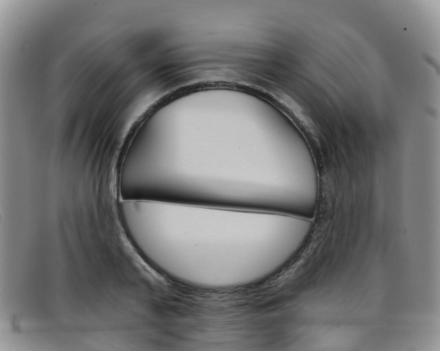 X0000096720791200802051059