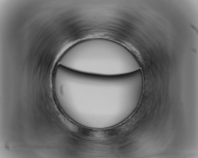 X0000096720792200802051059