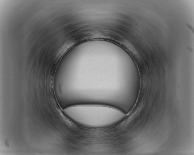 X0000096720793200802051059