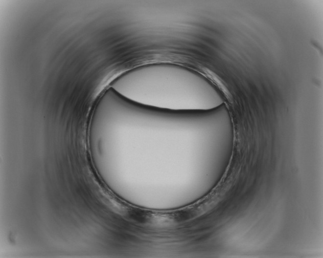 X0000096720794200802051059