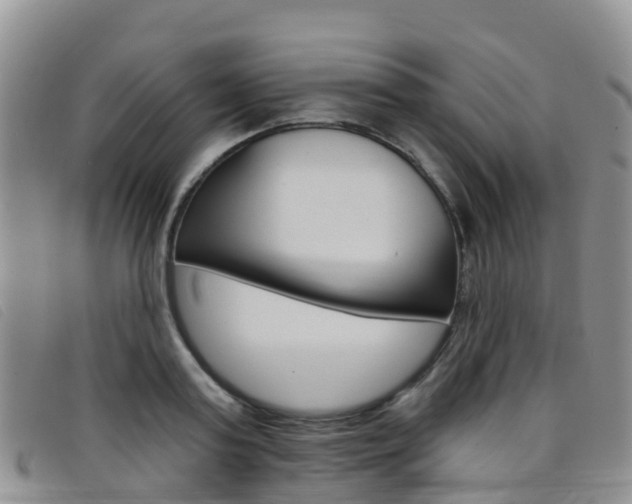 X0000096720795200802051059