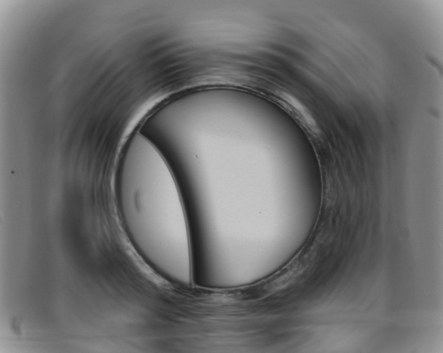 X0000096720796200802051059