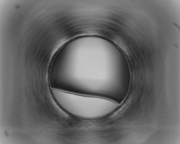 X0000096720797200802051059