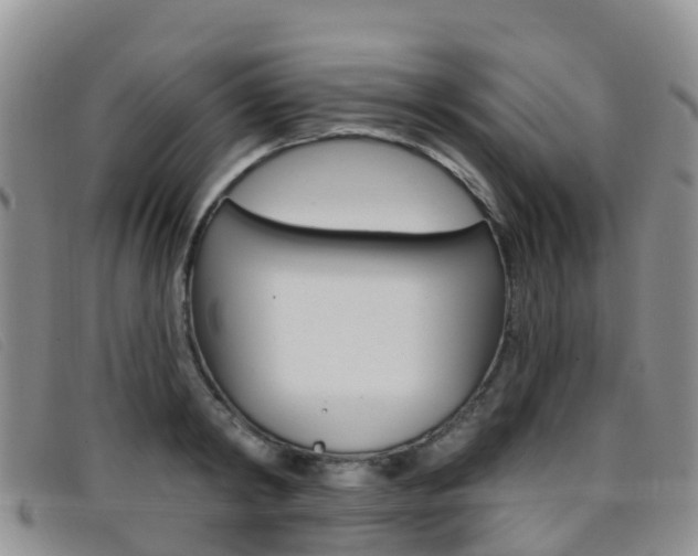 X0000096720798200802051059
