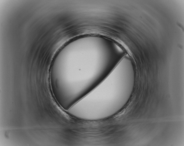 X0000096720799200802051059