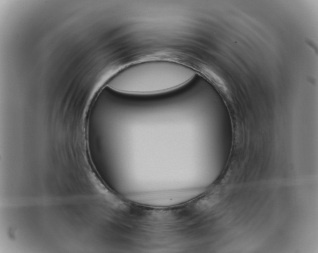 X0000096720800200802051059