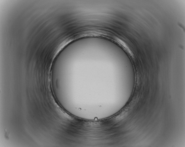 X0000096720802200802051059
