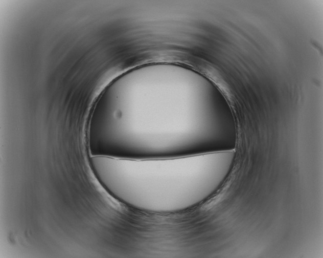 X0000096720803200802051059