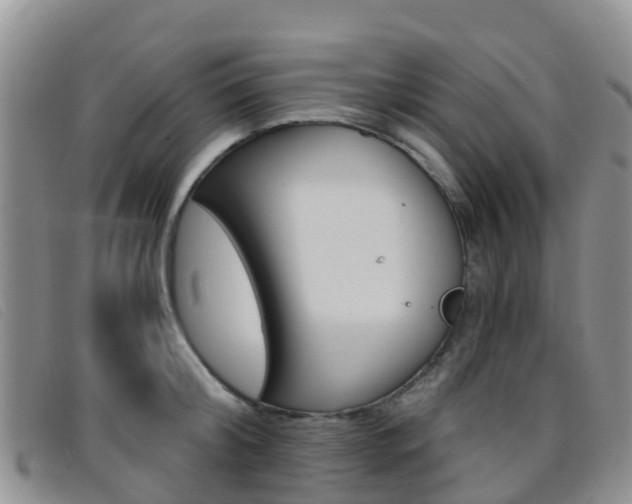 X0000096720804200802051059