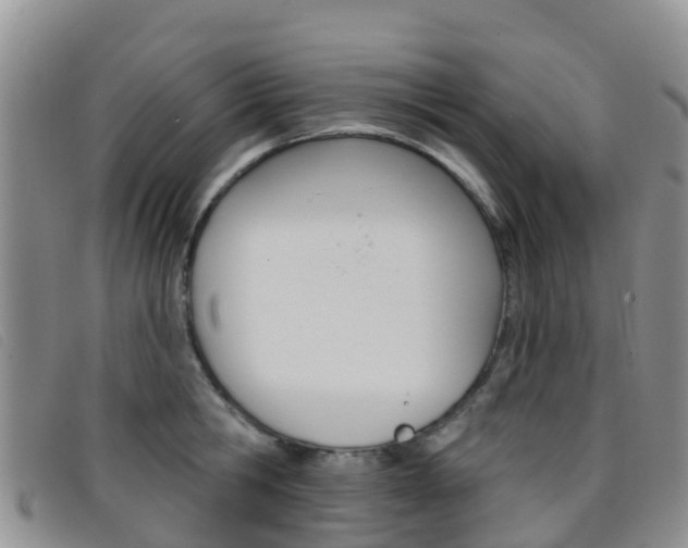 X0000096720806200802051059