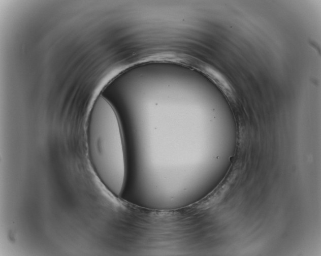 X0000096720808200802051059