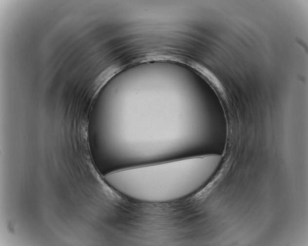 X0000096720809200802051059