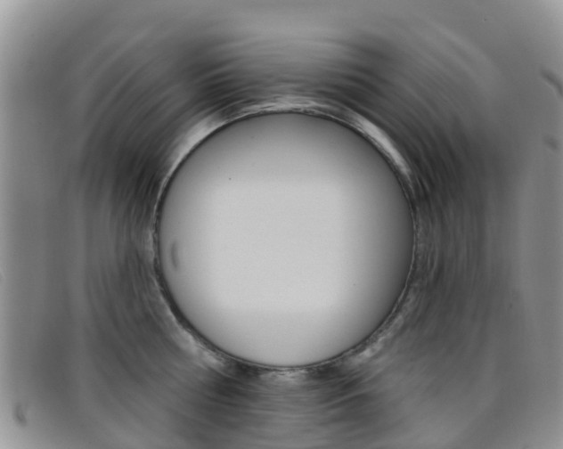 X0000096720810200802051059