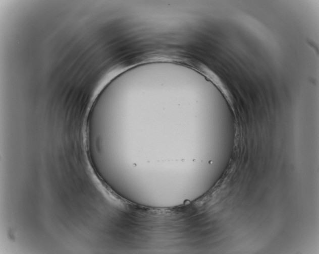 X0000096720811200802051059