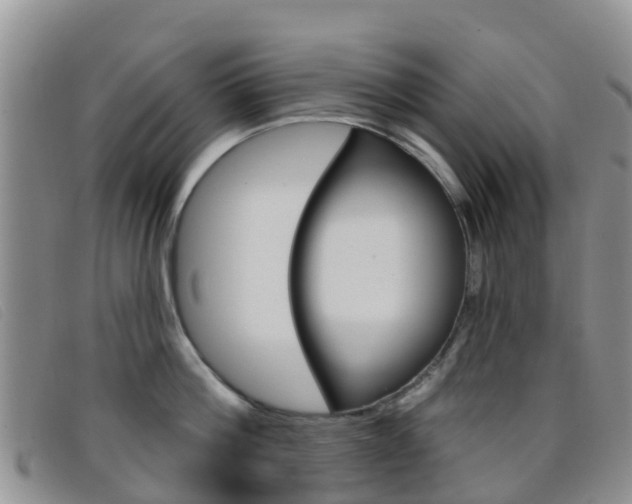X0000096720812200802051059