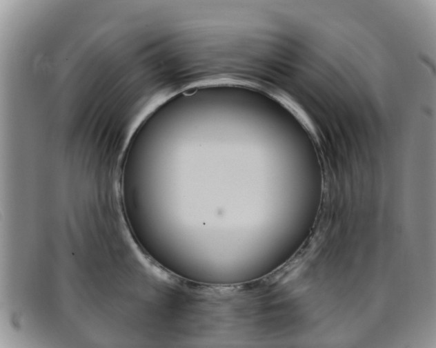 X0000096720813200802051059