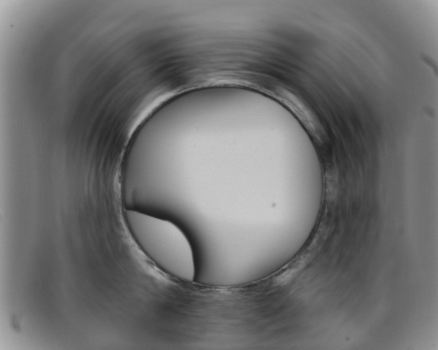 X0000096720814200802051059