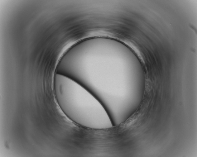 X0000096720815200802051059