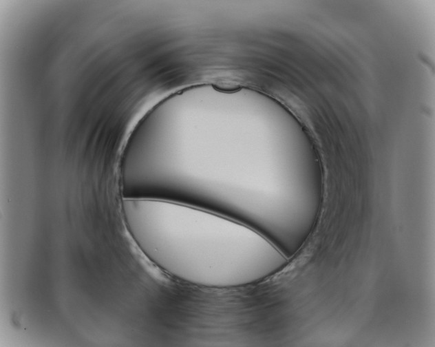 X0000096720816200802051059