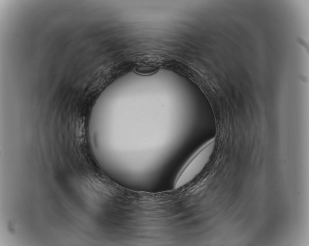 X0000096720818200802051058