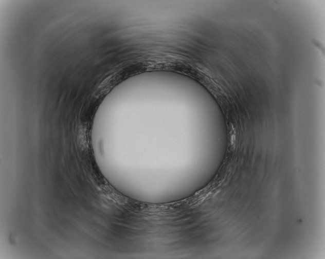 X0000096720819200802051058