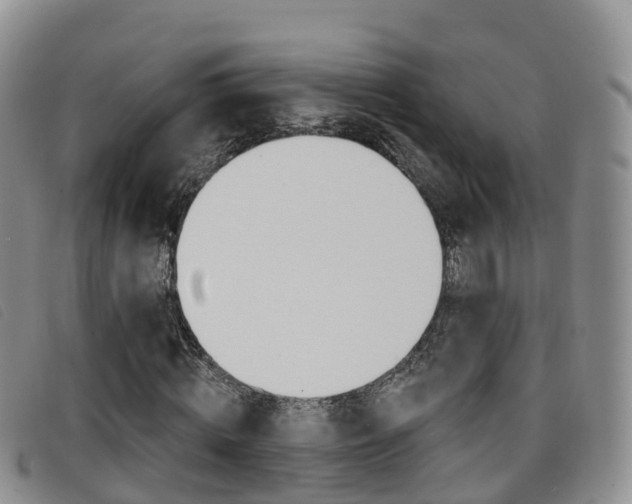X0000096720820200802051058
