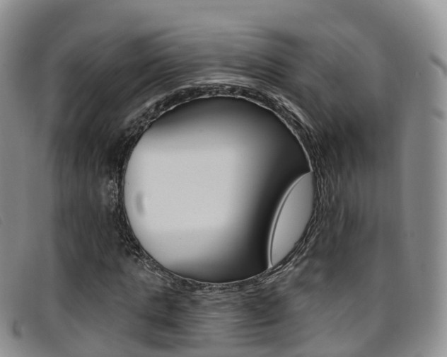 X0000096720821200802051058