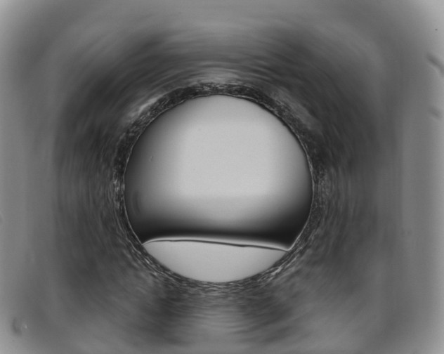 X0000096720822200802051058