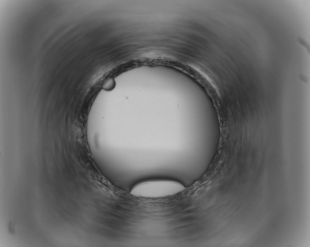 X0000096720823200802051058