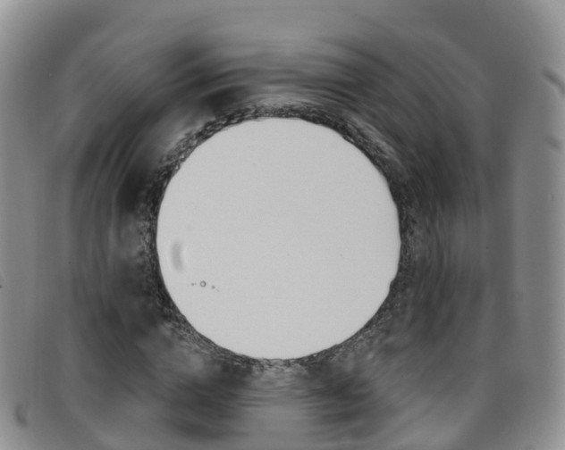 X0000096720824200802051058