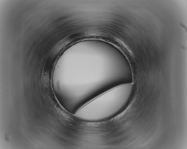 X0000096720825200802051058