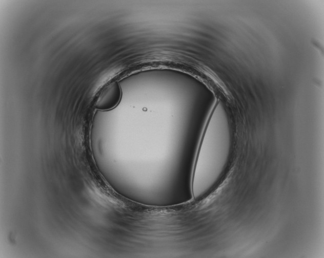 X0000096720826200802051058