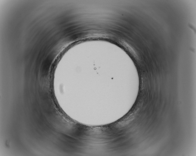 X0000096720828200802051058