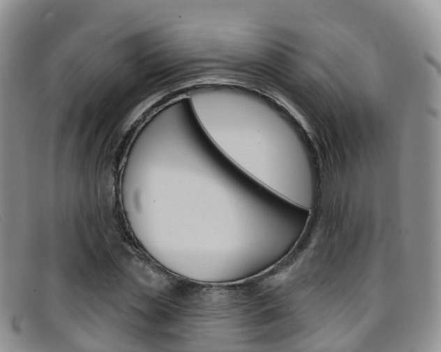 X0000096720829200802051058