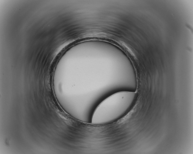 X0000096720830200802051058