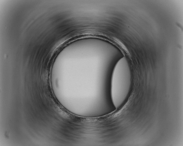 X0000096720831200802051058