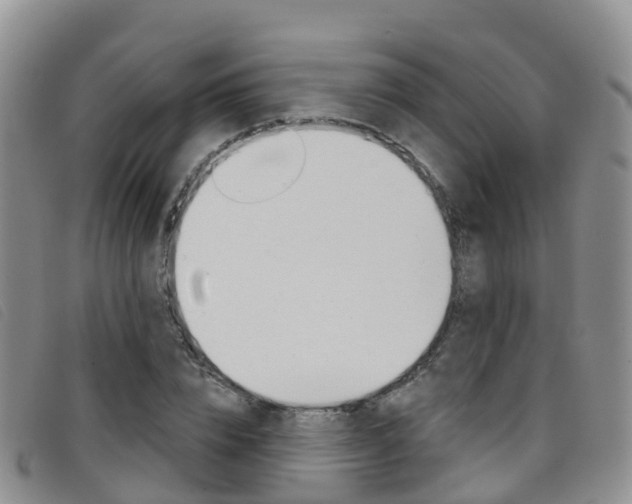 X0000096720832200802051058