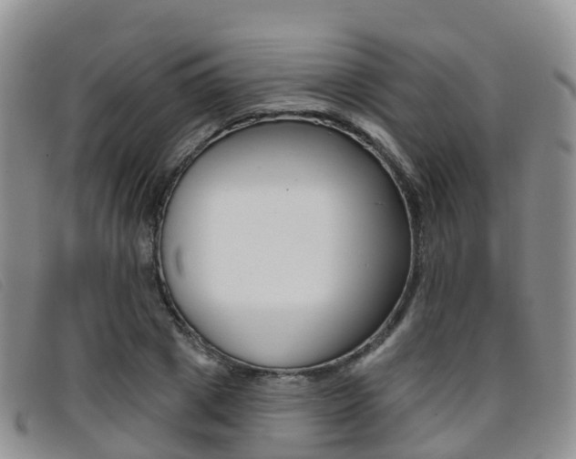 X0000096720833200802051058
