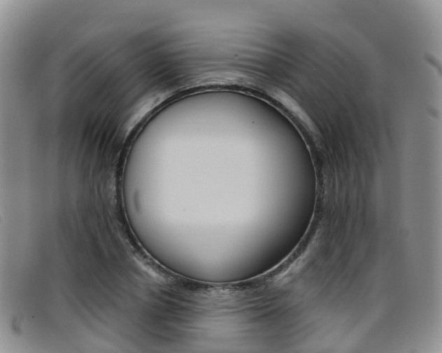 X0000096720834200802051058