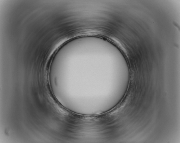 X0000096720835200802051058
