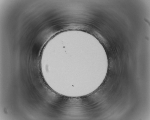 X0000096720836200802051058