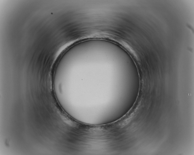 X0000096720838200802051058