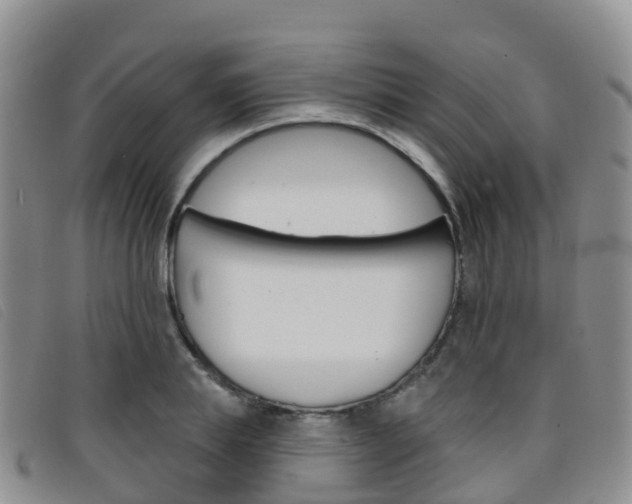 X0000096720839200802051058
