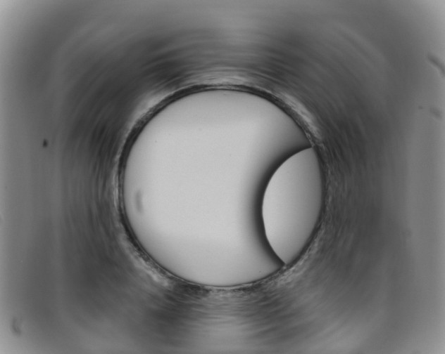 X0000096720840200802051058